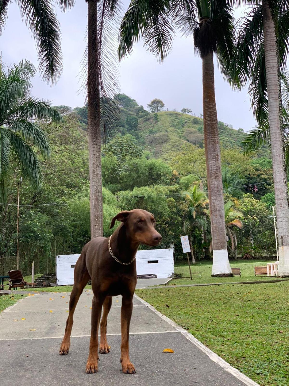 Finca Hotel La Consentida Escondida San Jerónimo 외부 사진