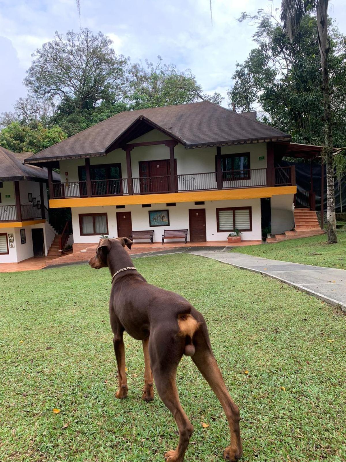 Finca Hotel La Consentida Escondida San Jerónimo 외부 사진